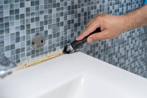 Best Mold Remediation for Schools in Elkin, NC
