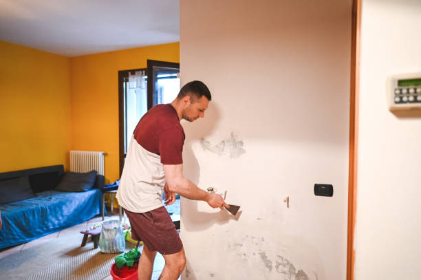 Best Basement Mold Remediation in Elkin, NC